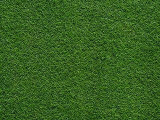 Poster -  Artificial grass football field background and texture