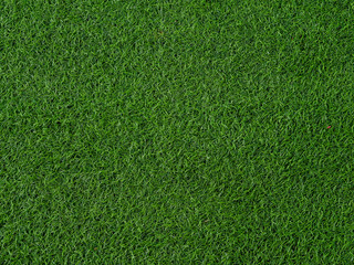 Poster -  Artificial grass football field background and texture