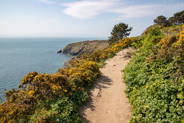  Hiking trail in Howth