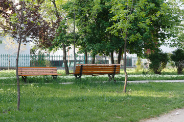 two benches in the spring park 