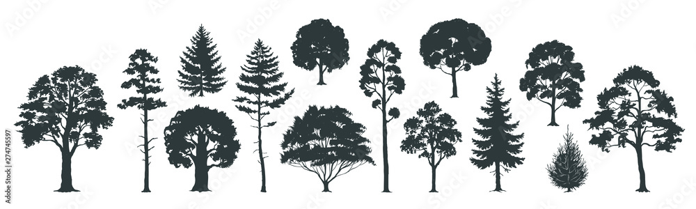 Trees silhouettes. Forest and park pines firs and spruces, coniferous and deciduous trees. Vector isolated retro images nature set - obrazy, fototapety, plakaty 