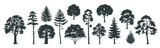 Fototapeta  - Trees silhouettes. Forest and park pines firs and spruces, coniferous and deciduous trees. Vector isolated retro images nature set
