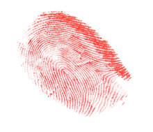 Fingerprint Made With Blood On White Background, Top View
