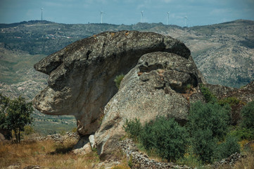 Wall Mural - Rock that looks like the head profile of an old woman