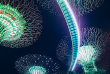 SINGAPORE, SINGAPORE - MARCH 2019: Supertrees Illuminated For Light Show In Gardens By The Bay
