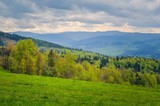 Fototapeta Krajobraz - Beautiful spring mountain landscape. Green rural scenery on the hills.