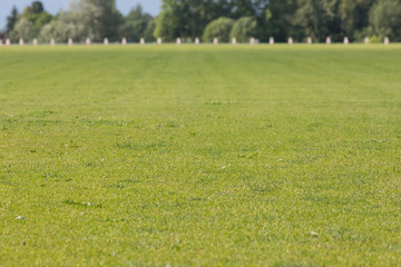 Rural landscape. The flat well-groomed field of a short-haired grass. On border with the wood on a background, the field it is fenced with a fence in the form of the white symmetrically placed short c