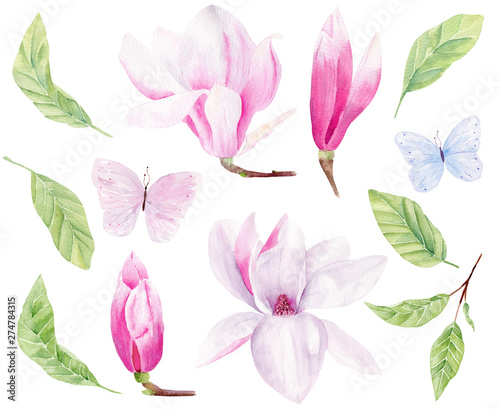 Flowers and leaves hand drawn watercolor raster illustrations set