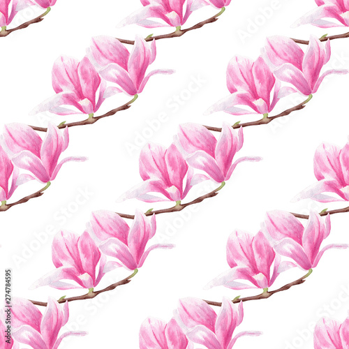 Magnolia flowers on branch hand drawn watercolor seamless pattern