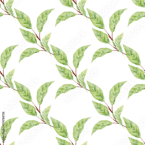 Magnolia leaves on branch hand drawn watercolor seamless pattern