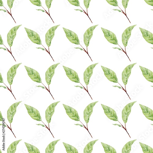 Leaves on branches hand drawn watercolor seamless pattern