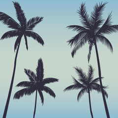 Silhouette palm trees background