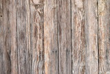 Fototapeta Desenie - Wood texture of tree background nature