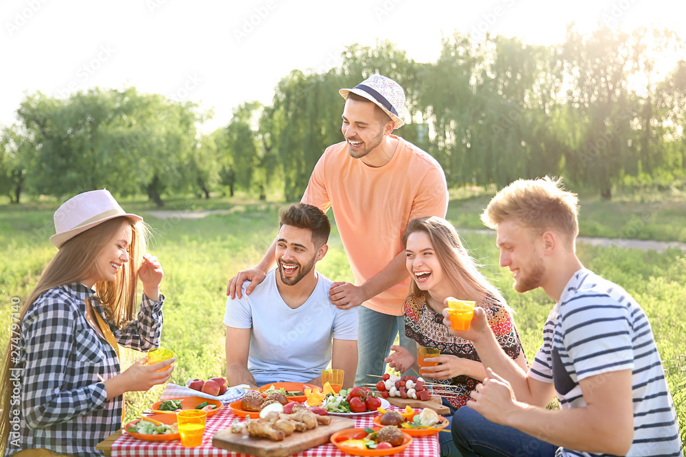 Friends at picnic on summer day
