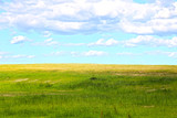 Fototapeta Sawanna - green meadow on the hill against the sky and clouds
