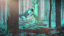 Killer Whale Swimming In Forest, Orca Flying In Foggy Landscape, Surreal 3d Render