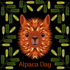 Alpaca Day. National holiday in Peru. Head, face alpaca. Mesquite twig frame