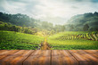 wooden table with scenic view of strawberry field at Doi Ang Khang, Chiang Mai, Thailand
