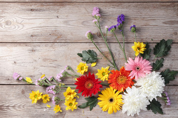 Wall Mural - Colorful chrysanthemums placed on the table old wooden background