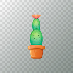 Wall Mural - vector cartoon green cactus in pot isolated on transparent background. funny houseplant icon