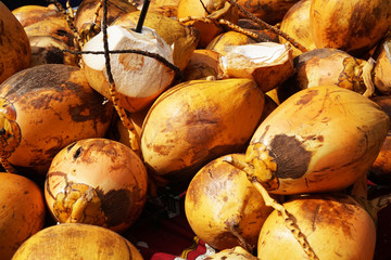 Wall Mural - fresh coconut yellow fruits texture