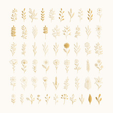 Set Of Golden Flowers And Herbs. Ink Drawn Vector Illustration. Vector Isolated.