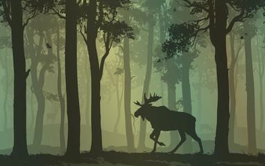 moose