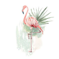 Watercolor flamingo illustration