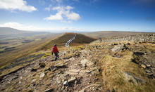 A Hiker Walking Down From The Summit Of Whernside, Part Of The Three Peaks With Sand Beds Head Pike In The Distance. The Yorkshire Dales, England.