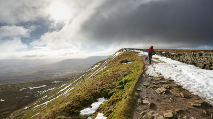 Wall Mural - A hiker walking up to the summit of Whernside, part of the Three Peaks in the Yorkshire Dales, England.