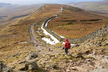 Wall Mural - A hiker walking down from the summit of Whernside, part of the Three Peaks with Sand Beds Head Pike in the distance. The Yorkshire Dales, England.