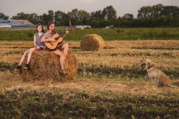 two beautiful girls in denim shorts and plaid shirts with a Retriever and a guitar pose against the background of a wheat field, haystacks and summer sunset sky