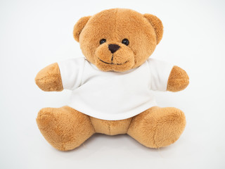 teddy bear on white background