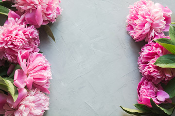 Beautiful pink peony flowers as frame on grey concrete. Copy space for text. Flat lay.