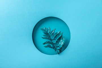 blue fern leaf in round hole on blue paper