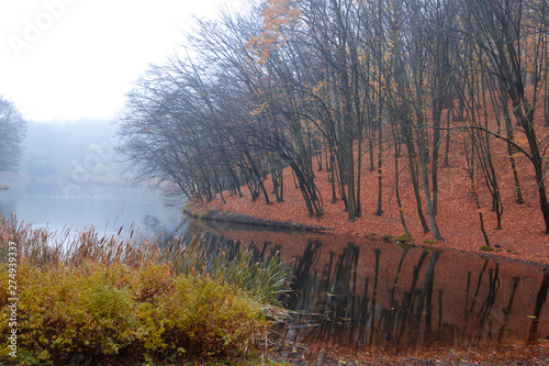 Autumn landscape of the forest on the shore of the lake