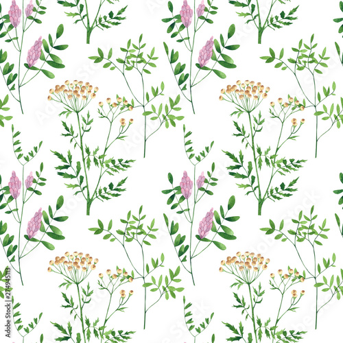 Seamless pattern of culinary and medicinal herbs. Watercolor botanical illust...