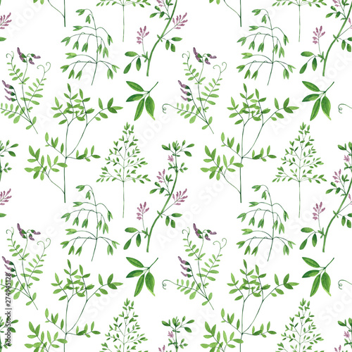 Seamless pattern of culinary and medicinal herbs. Watercolor botanical illust...