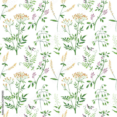 Seamless pattern of culinary and medicinal herbs. Watercolor botanical illust...