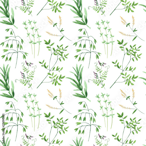 Seamless pattern of culinary and medicinal herbs. Watercolor botanical illust...
