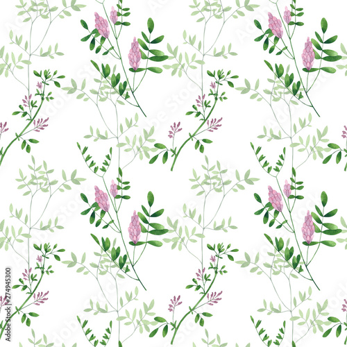 Seamless pattern of culinary and medicinal herbs. Watercolor botanical illust...