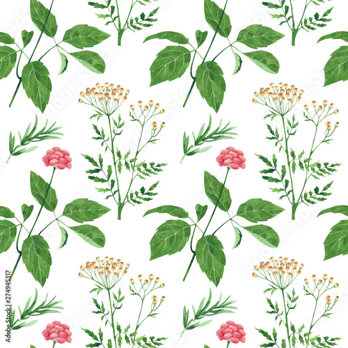 Seamless pattern of culinary and medicinal herbs. Watercolor botanical illust...