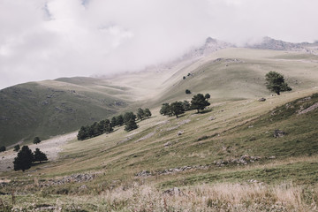 Panorama view of forest and mountains scenes in national park Dombay