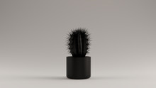 Black Cactus Plant In A Pot 3d Illustration 3d Render