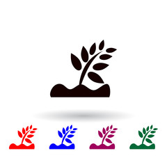 Poster - plant on earth multi color icon. Elements of farm set. Simple icon for websites, web design, mobile app, info graphics