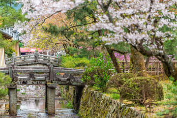 Wall Mural - Arisu river canal in Kyoto residential neighborhood in Arashiyama with spring cherry blossom flowers along water with nobody in April and stone bridges