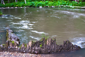 mountain river in the forest