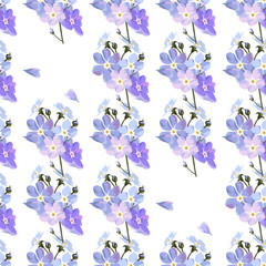  Vintage seamless pattern with field small blue flowers on white background.