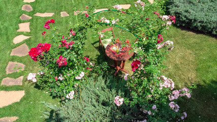 Wall Mural - Decorated table with cheeses, strawberry and wine in beautiful rose garden, aerial top view of romantic date table food setting for two from above