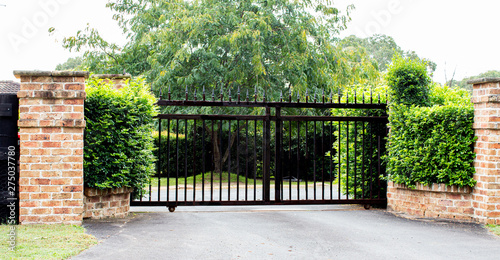 Fotomural Black metal driveway property entrance gates set in brick fence with garden shru